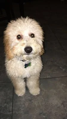 Sitter Profile Image: Jackson 