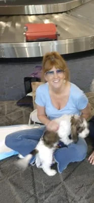 Owner Image