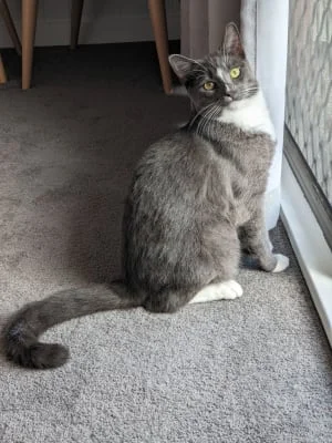 Sitter Profile Image: Tiffany 