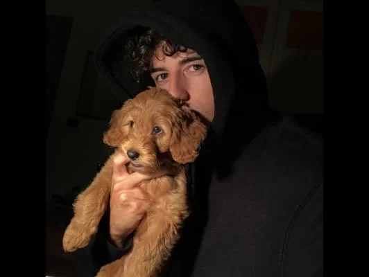 Sitter Profile Image: Agostino 
