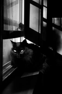 Sitter Profile Image: Chelsea 