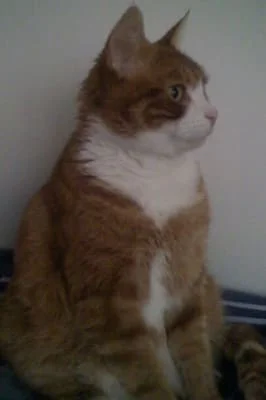 Sitter Profile Image: SueZQ 