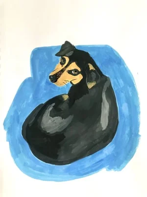 Sitter Profile Image: Aly 