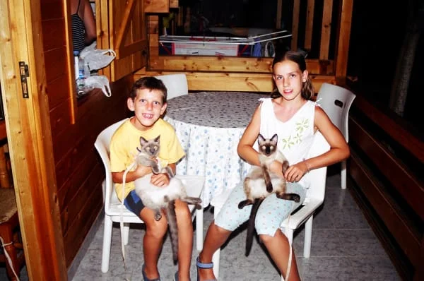 Sitter Profile Image: Carlos & Natalia 