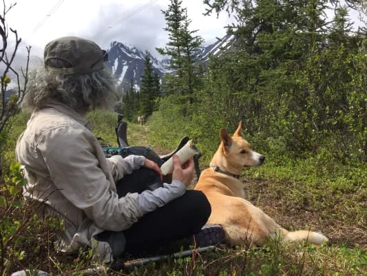 Sitter Profile Image: Scratch & Abbe 