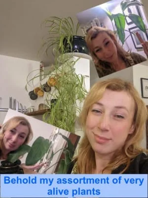 Sitter Profile Image: Algebra 