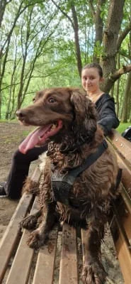 Sitter Profile Image: Ellie & Max 