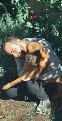 Sitter Profile Image: Julio Cesar & Lucas David 