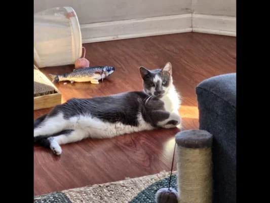 Sitter Profile Image: Gayla 