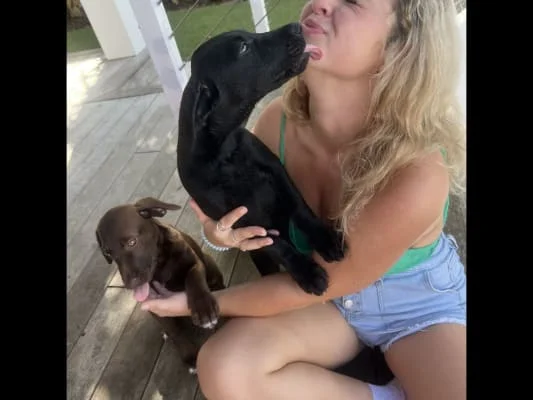 Sitter Profile Image: Meredith Brooke Nalley & William Tucker Hord 
