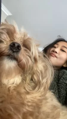 Sitter Profile Image: Chaeryeong 