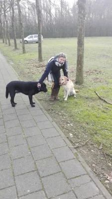 Sitter Profile Image: Henk en Cora 