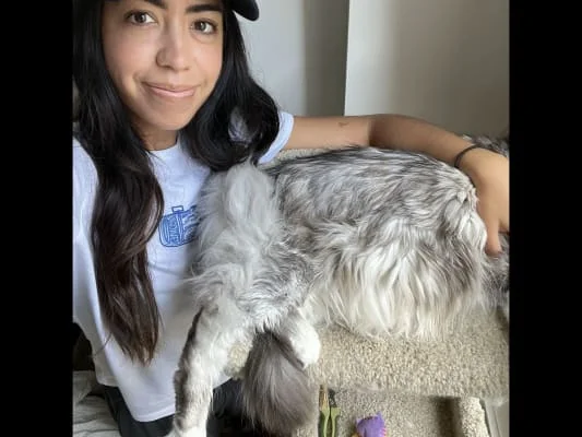 Owner Image