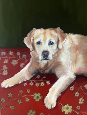 Sitter Profile Image: Sage 