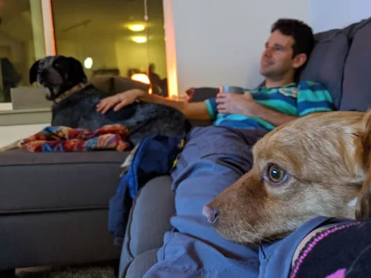 Sitter Profile Image: Daniel W & Chickee 