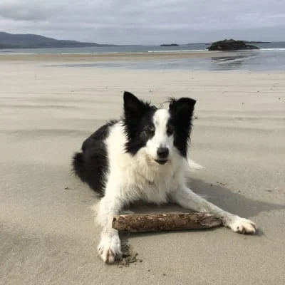 Sitter Profile Image: Aoife 