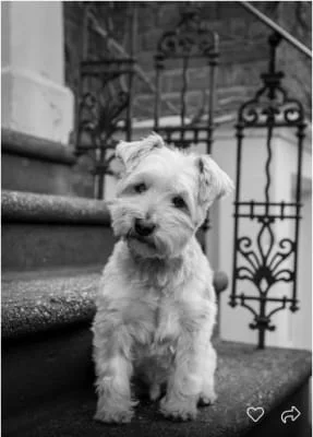 Sitter Profile Image: Beatrice 