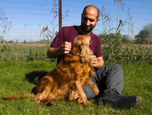 Sitter Profile Image: Gustavo 