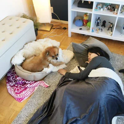 Sitter Profile Image: Jessie Wu 