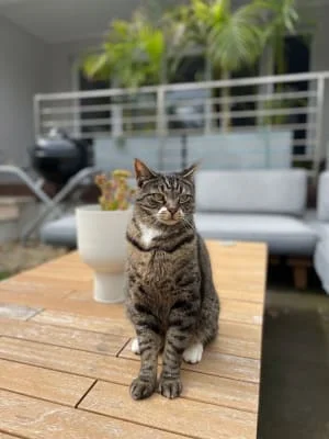 Sitter Profile Image: Begüm 