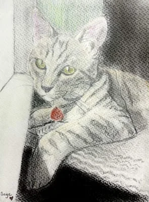 Sitter Profile Image: Sage 
