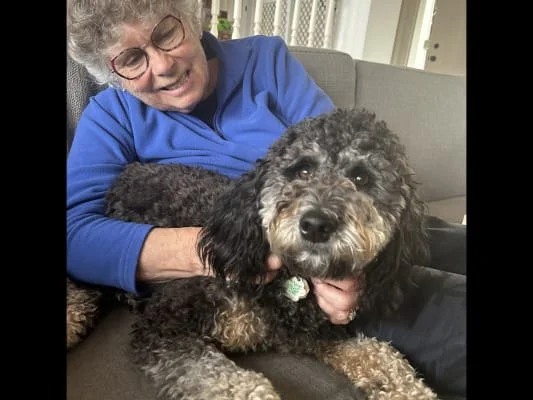 Sitter Profile Image: Jill & Bernie 