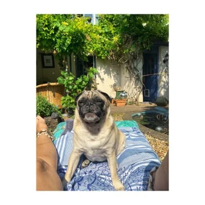 Sitter Profile Image: Lilly Juliet 