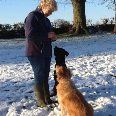 Sitter Profile Image: Glynis 