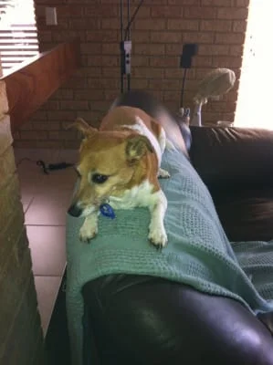 Sitter Profile Image: Liduine 