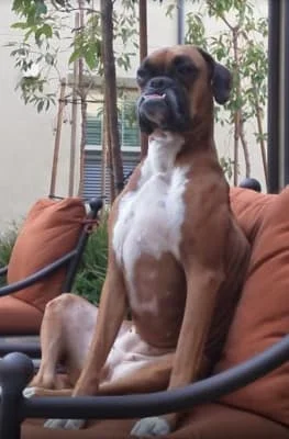 Sitter Profile Image: Mariah 