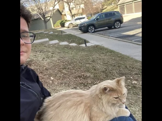 Sitter Profile Image: Taggart 