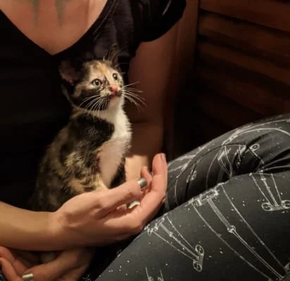Sitter Profile Image: Ily 