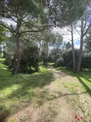 Villeneuve-les-avignon 30400 - Appartement