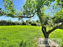 Viriat 01440 - Maison