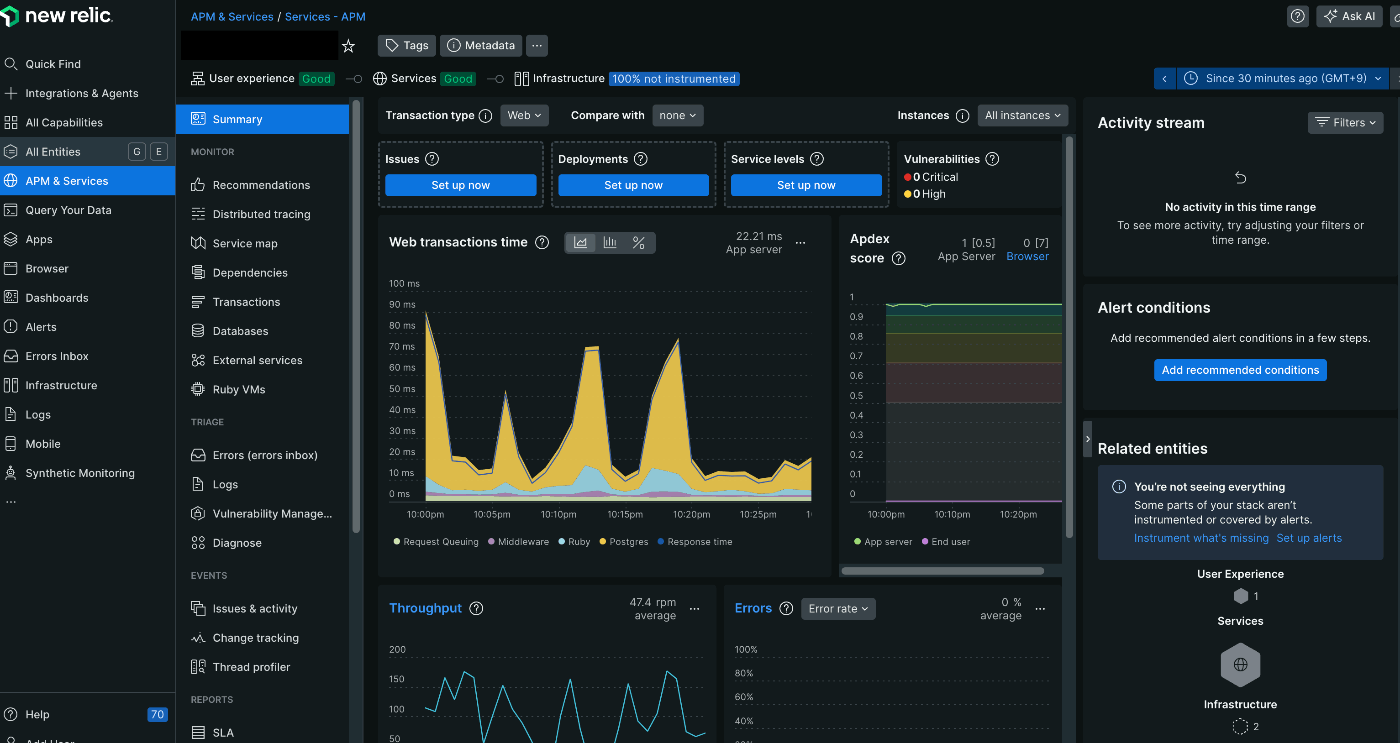New Relic UI