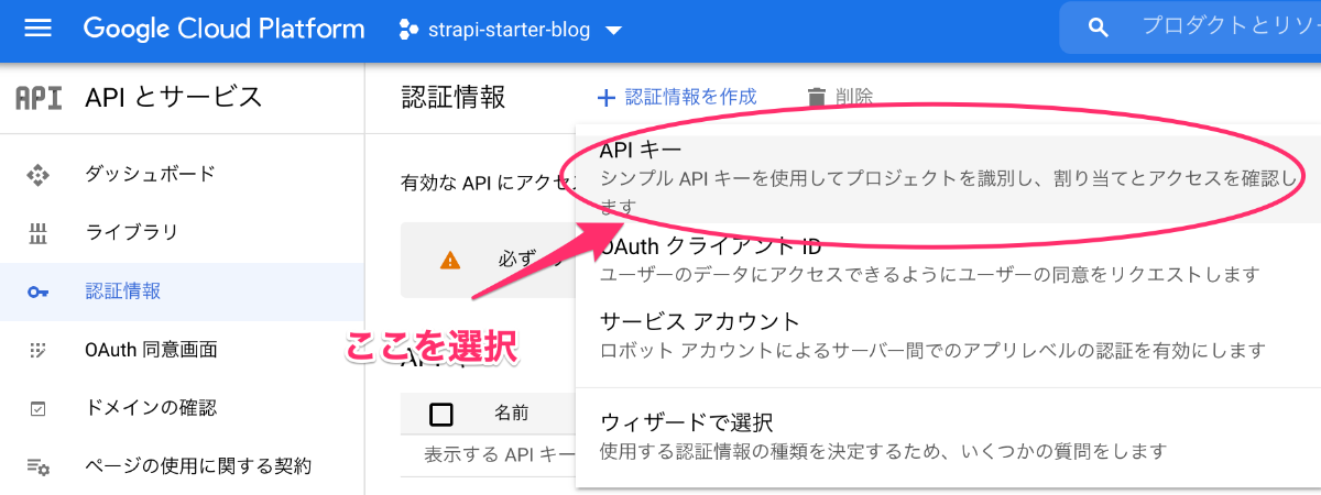 "API キー"を選択