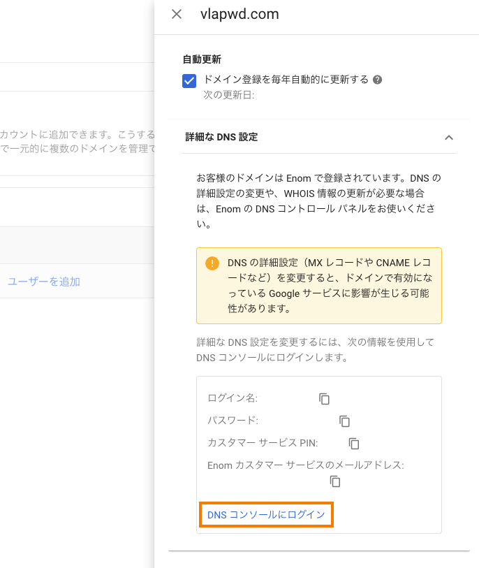 詳細なDNS設定メニューの一番下のDNSコンソールにログインをクリック