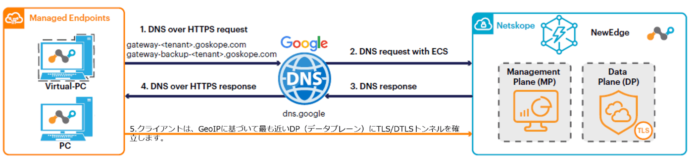 図2 Google DNSを利用する場合のDP選択方法