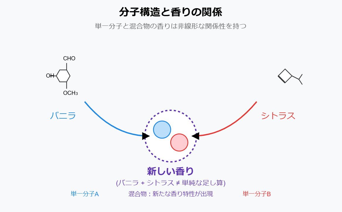 分子構造と香りの関係図