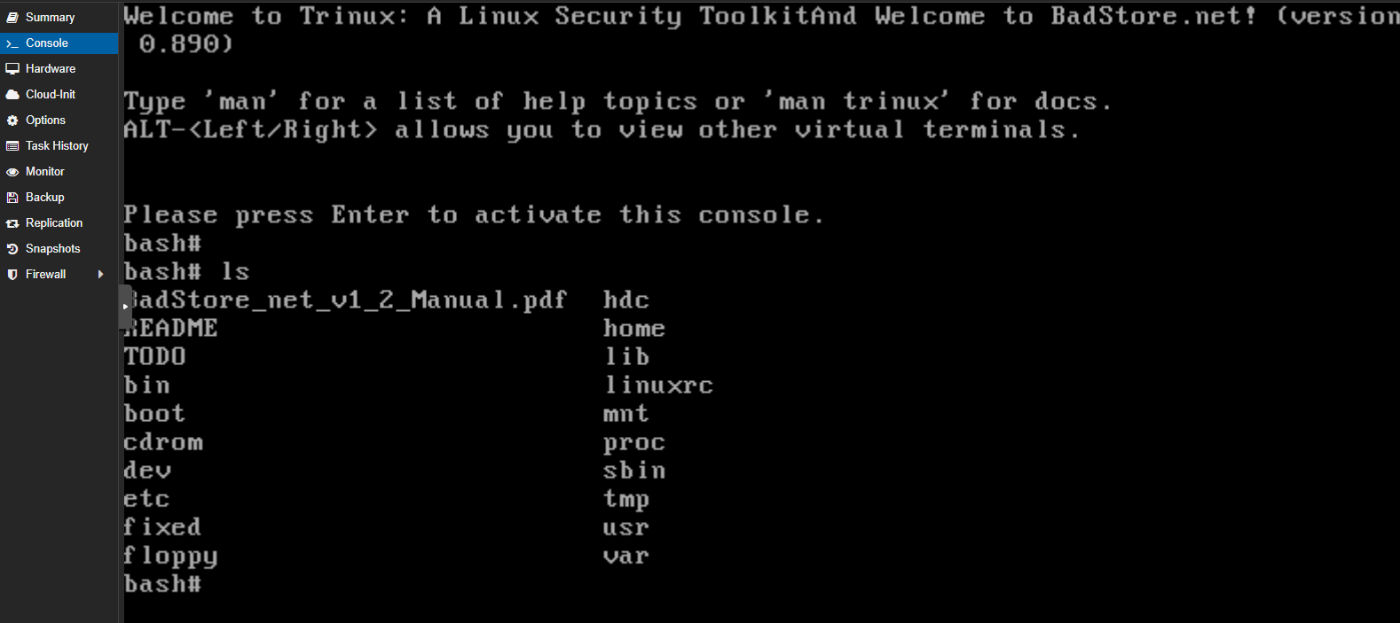 badstore-boot-ls