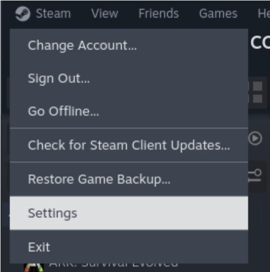 Steam → Settings