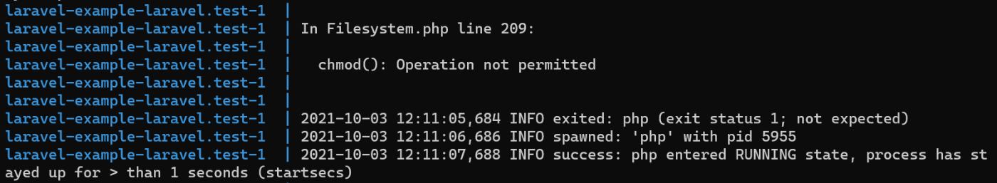 chmod(): Operation not permitted