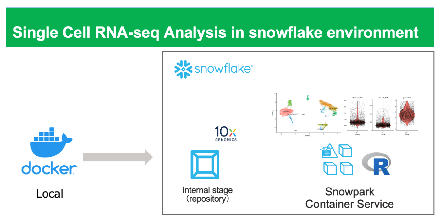 Single Cell RNA-seq Analysis in snowflake environment