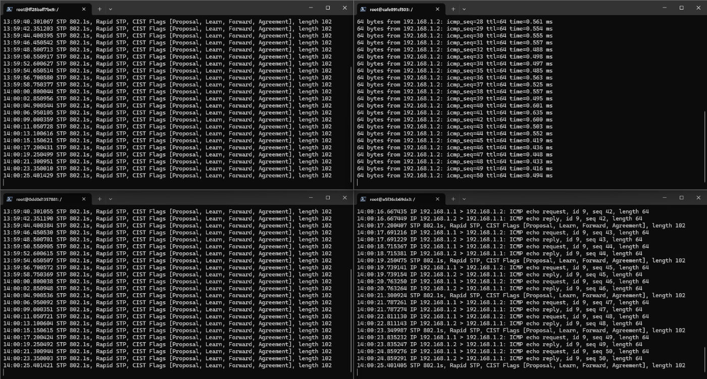 cEOSでVRFの動作を確認する