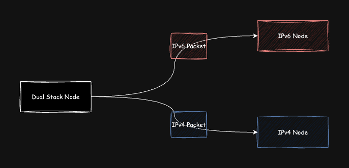 dual-stack-packet