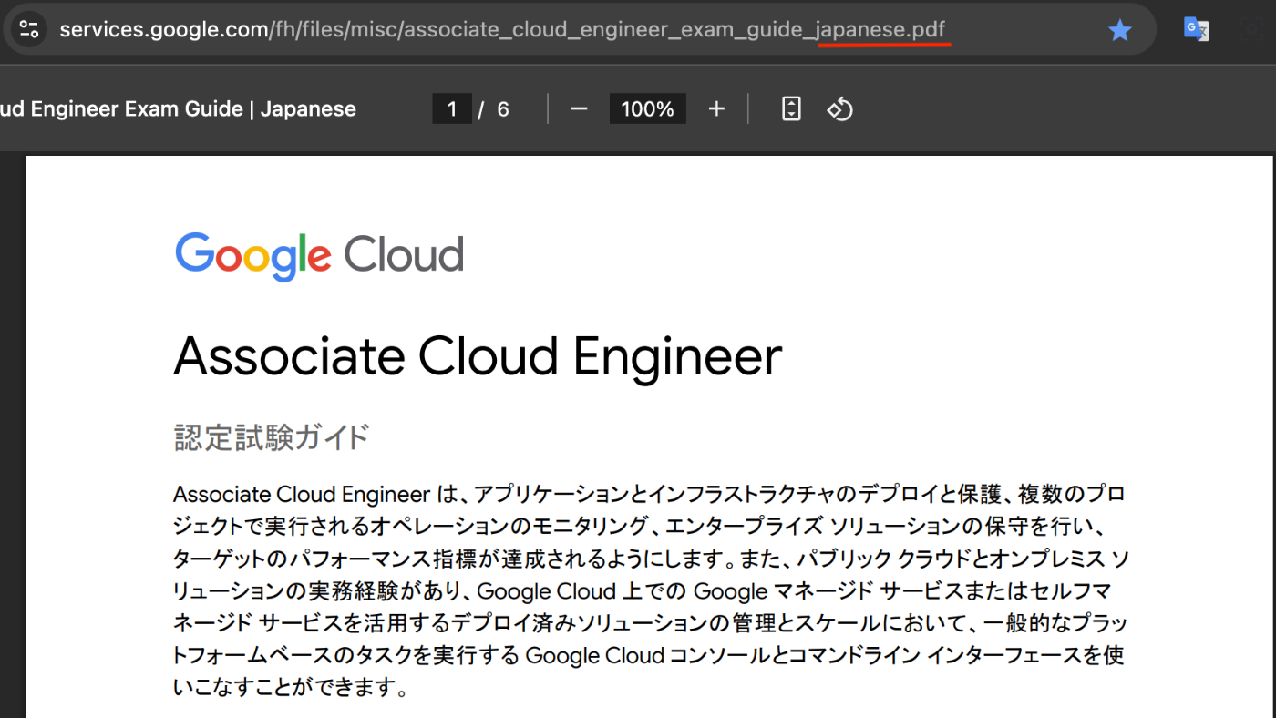 試験ガイド_日本語