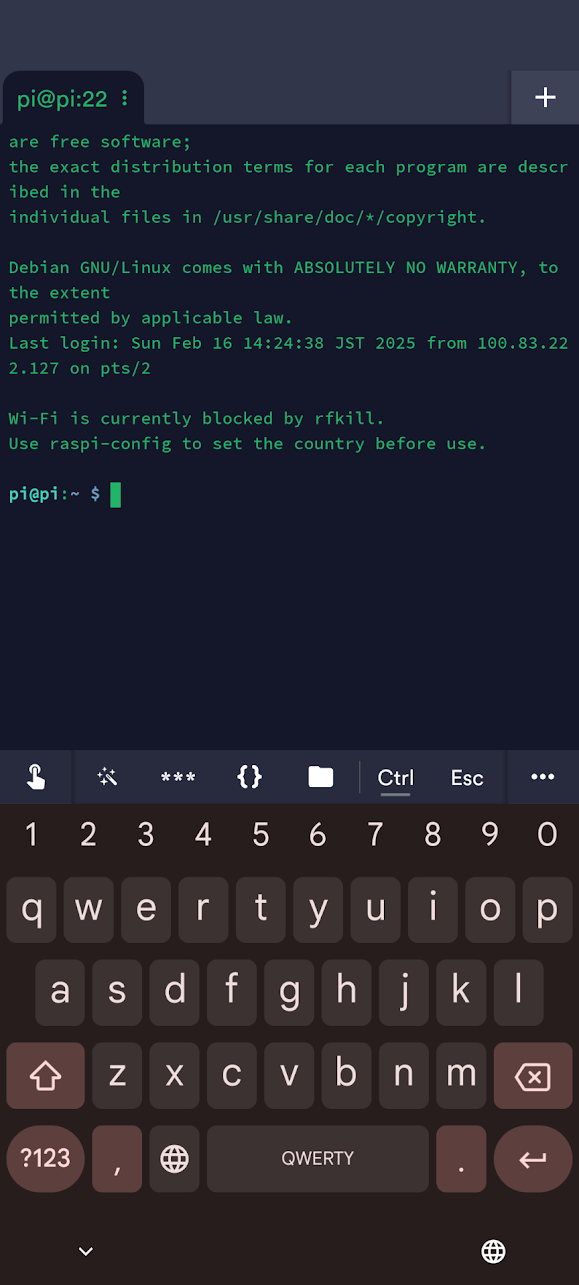 Raspberry Pi + Tailscale + Open WebUI で手軽に自分だけの LLM 環境を構築するチュートリアル