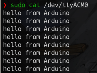 cat結果