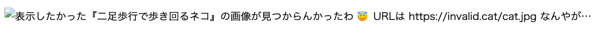 画像の読み込みエラー