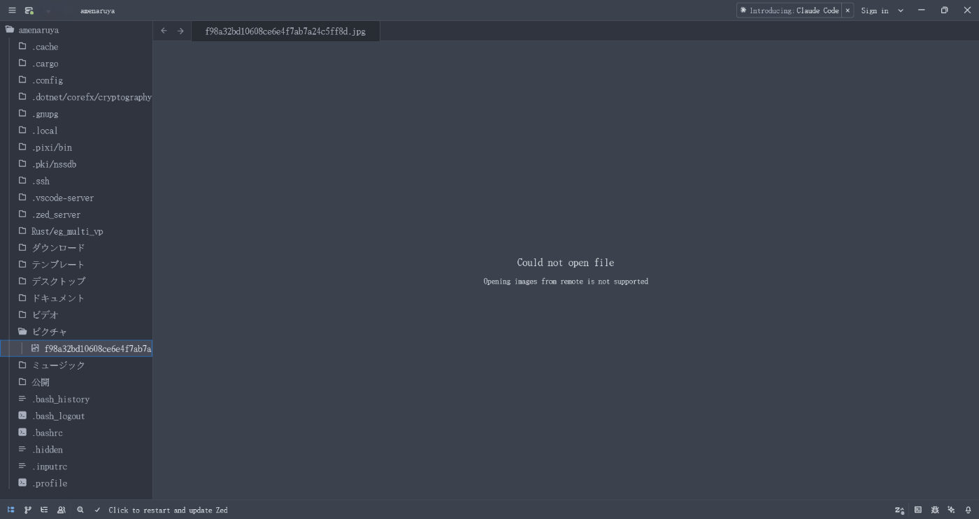 画像表示できない